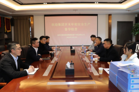 集团安管部一行赴williamhill中国官方网站地产公司开展 岁末年初安全生产督导检查